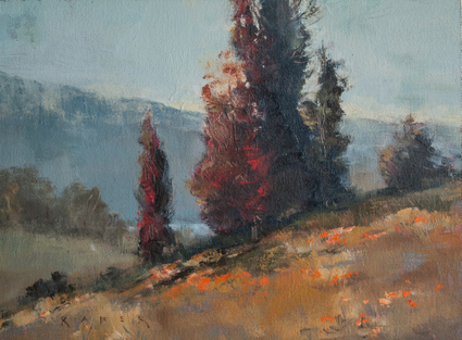 A mountain meadow with wildflowers and a mountain range in the distance